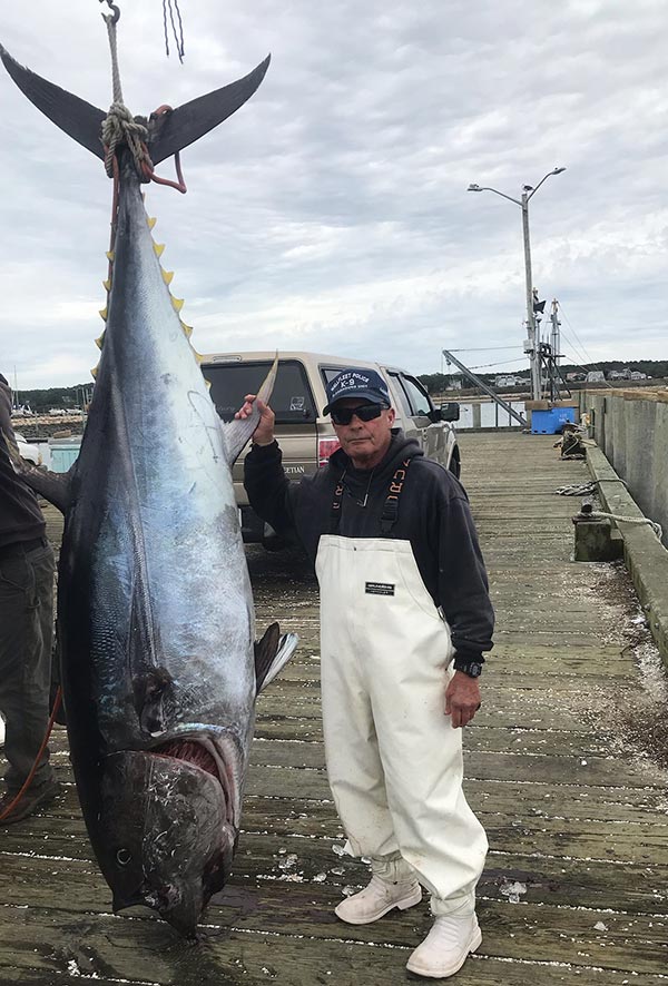 cape cod bluefin tuna