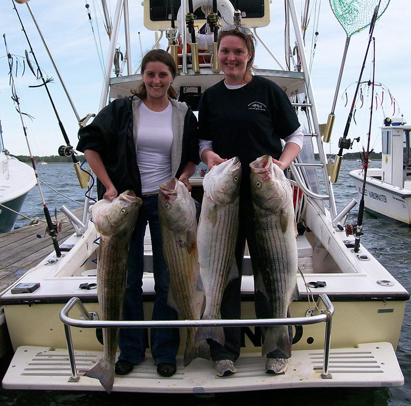 clinton d sportfishing boat wellfleet