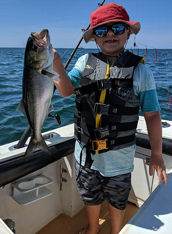 a nice cape cod bluefish