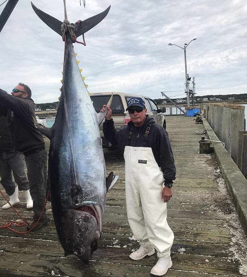 cape cod giant tuna fishing charter