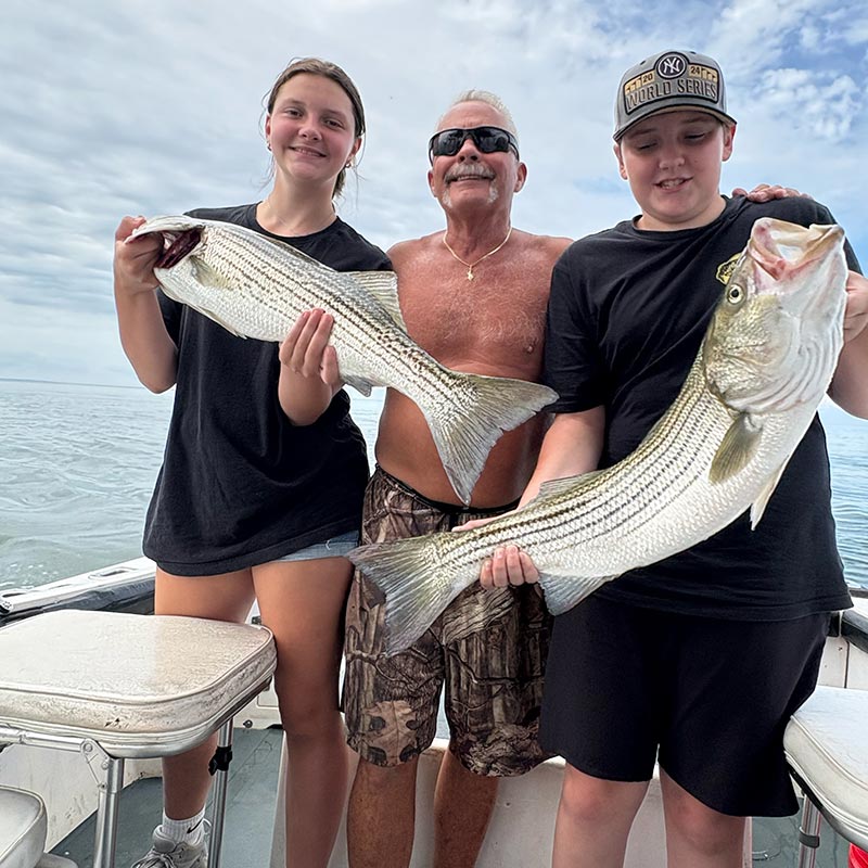 striped bass fishing in wellfleet ma