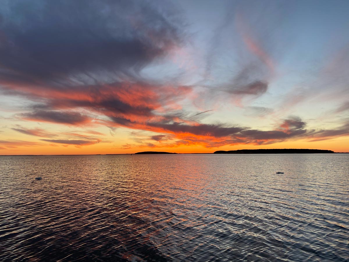 wellfleet harbor tour by boat